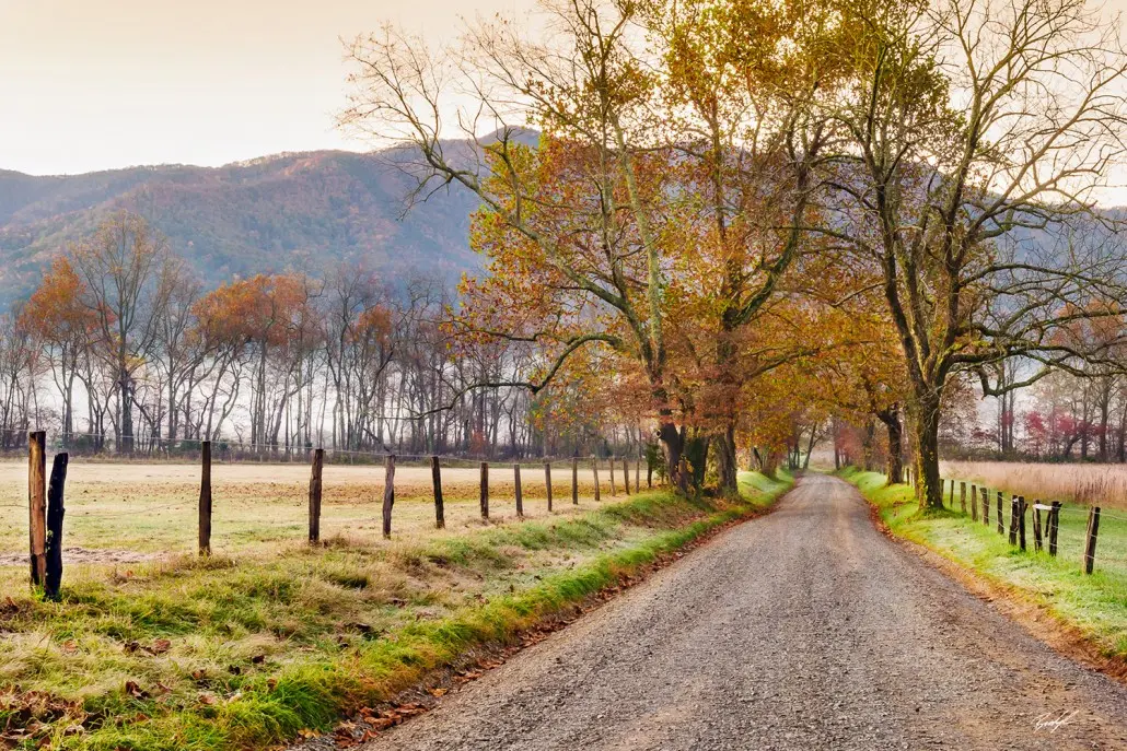 Gravel road lined with autumn trees and wooden fence posts in a rural setting, representing the scenic neighborhoods relevant for first-time homebuyers in Nashville.